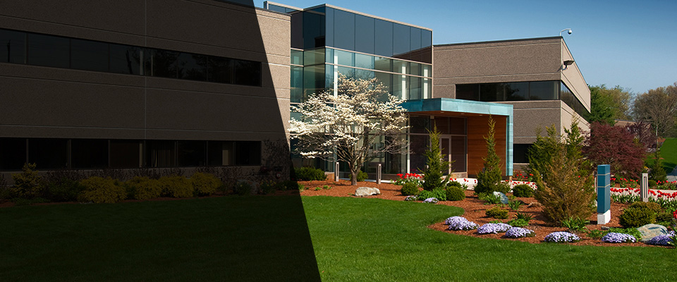 Plano Landscapers