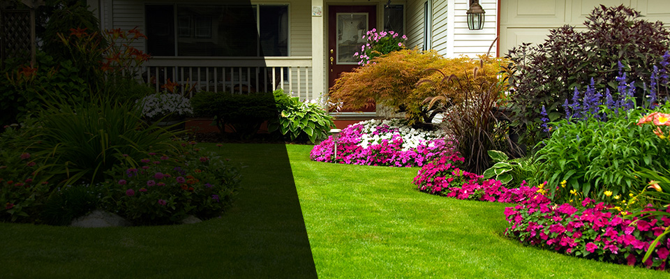 Plano Landscapers